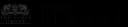 Salon YOU logo