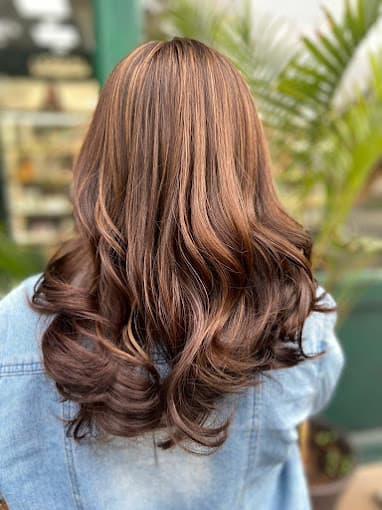 Looks Vaishali Girnar Colony