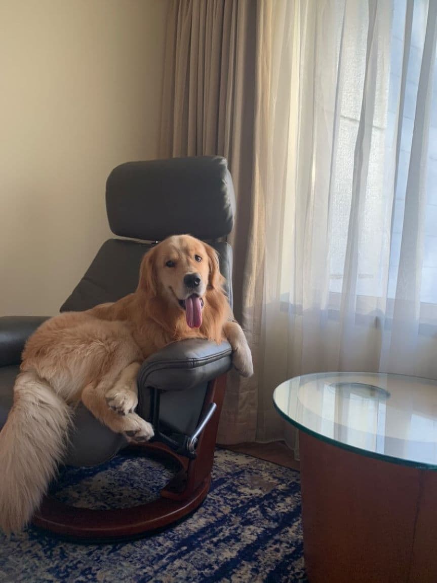 Unity Of Beauty Unisex Salon